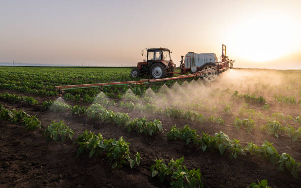 Best Mosquito Control Services  in Oak Grove, MO