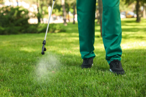 Trusted Oak Grove, MO Pest Control Experts