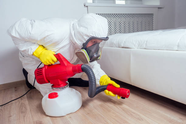 Flea Control Services in Oak Grove, MO