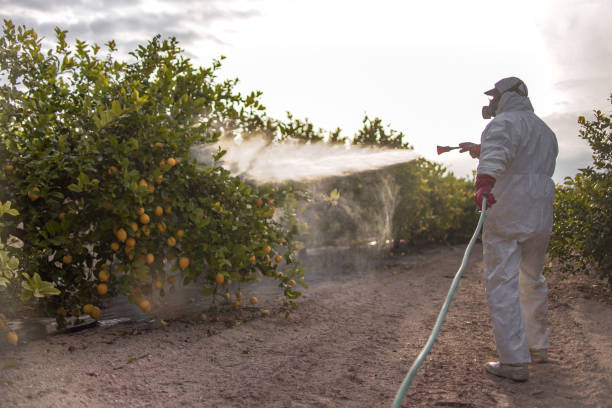 Best Pest Prevention Services  in Oak Grove, MO
