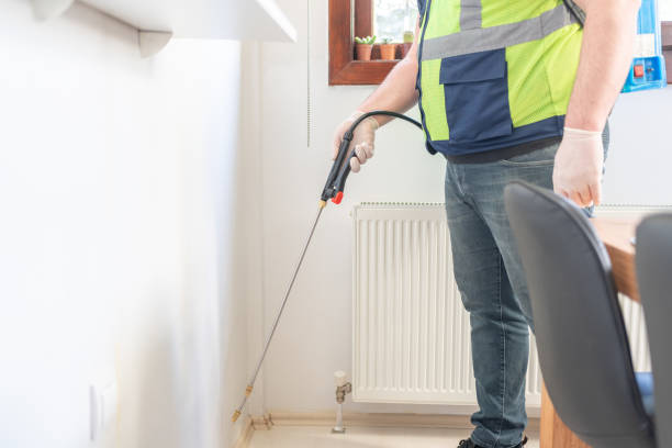 Best Termite Control Services  in Oak Grove, MO