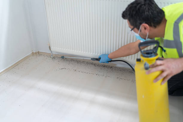 Best Affordable Pest Control Services  in Oak Grove, MO